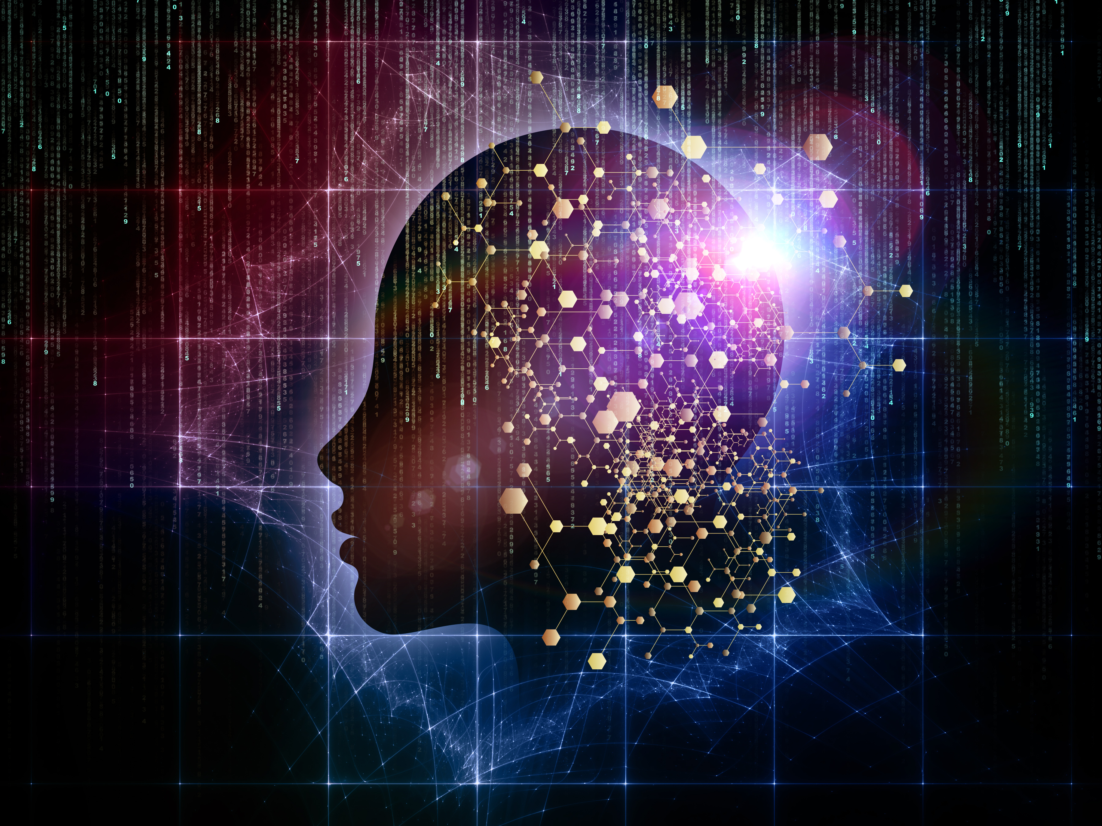 An Overview of the Leading Theories of Consciousness